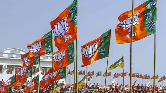 印度人民党（BJP）旗帜