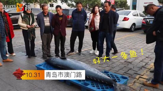 「易彩娱乐怎样提高代理」“最好的教育就是多给孩子添麻烦”,育儿专家的话引起妈妈反思