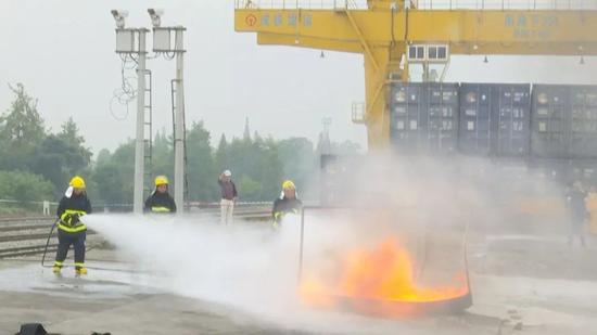 「爱发娱乐场赌场」“豹猫”出现礼县一农户,林警护驾放归大自然