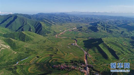 宁夏固原市隆德县观庄乡前庄村的农田与苍翠的六盘山（无人机照片，2018年7月17日摄）。新华社记者 王鹏 摄