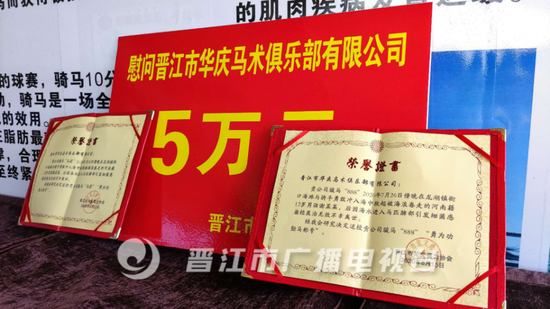 福建两匹下海救人离世骏马被追授“勇为功勋马”称号