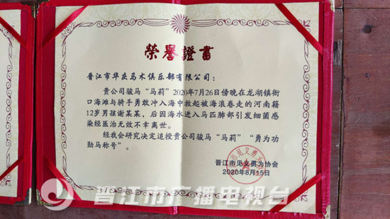 福建两匹下海救人离世骏马被追授“勇为功勋马”称号