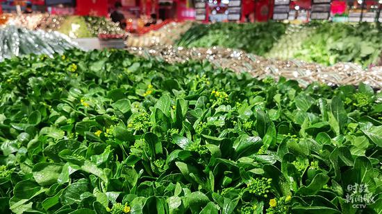 △红菜椒、菜心等蔬菜(总台央视记者石伟明、史伟拍摄)