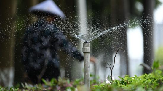  ↑ 在广西钦州市，一名工人在调节节水型喷灌龙头给道路绿化带浇水（5月11日摄）。