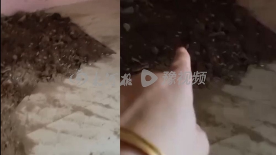 埋尸地点,受访者供图