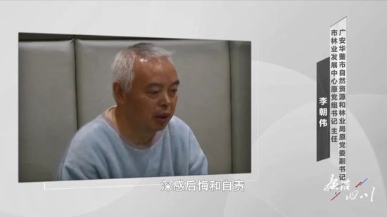 28加拿大金凤凰算法
