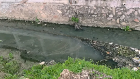 别伤害我歌曲原唱