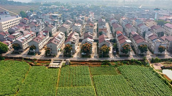 衢州市衢江區雲溪鄉希望新村鳥瞰圖。衢州市衢江區委宣傳部 供圖