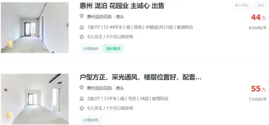 “有香港客户包车来看房”,最低40万元一套,李嘉诚家族降价推售大湾区400套房源