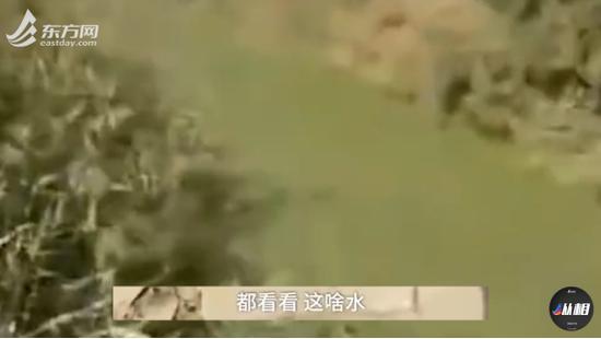 新凤凰888-超燃少年团“流行”遇“拉丁”,原来爱豆的齐舞可以这样跳