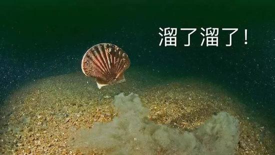 百利宫国际娱乐场送58元彩金 为劝特朗普驱逐俄外交官 CIA局长给他看一张照片