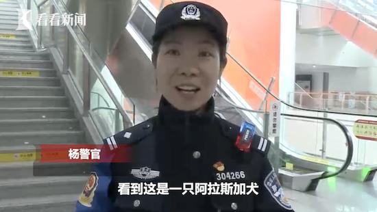 赌场手机游戏软件·中信海洋直升机股份有限公司第六届董事会第二十五次会议决议公告