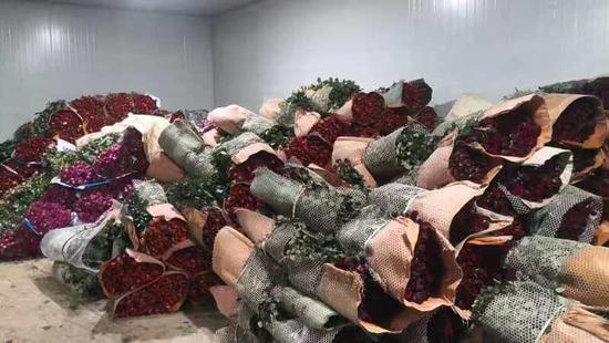 2月13日,云南楚雄苍岭镇,有2万支鲜花即将被销毁。 图片来源:受访者提供