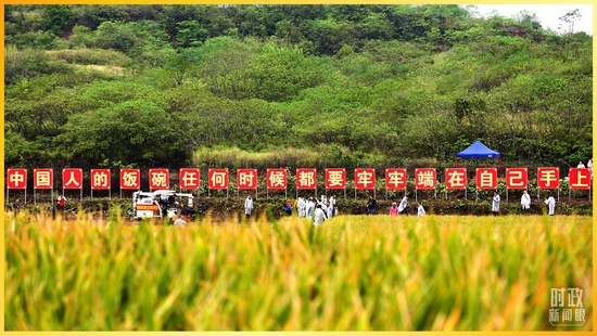 △2021年10月17日，湖南省衡阳市衡南县清竹村，由袁隆平院士（2021年5月逝世）专家团队研发的杂交水稻双季亩产达到1603.9公斤，再次刷新纪录。（图/视觉中国）