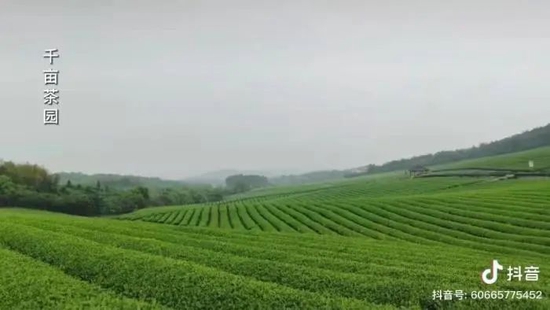 解伟视频中的随州景色。短视频社交平台截图