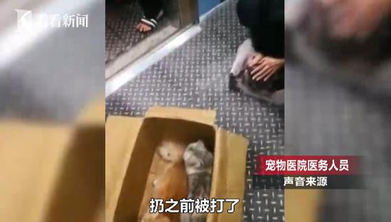 bbin注册登入·视频丨这家意大利时尚集团在进博会上首秀!还用上了粉红机器人营业员……