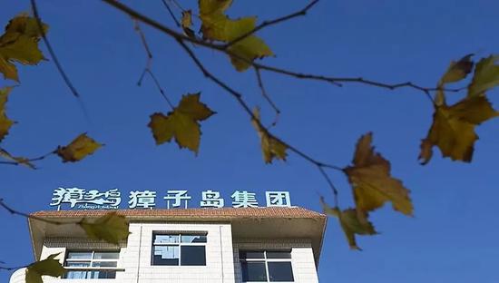 皇冠足球开户体育投注网|申晨间 | 全国超4成的阳澄湖大闸蟹,都被上海人吃掉了!你贡献了多少?