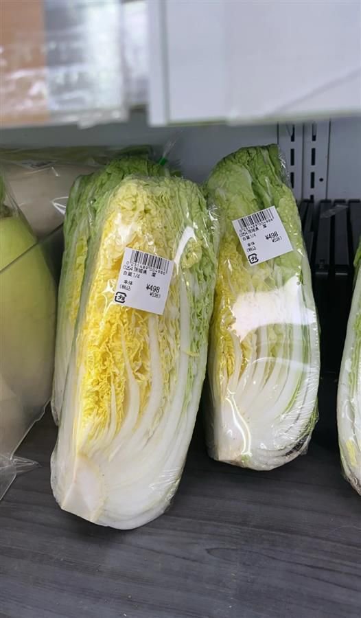  今年3月底，一位網民在社交平台上發佈了一張四分之一棵日本白菜的照片（圖片來源網絡）