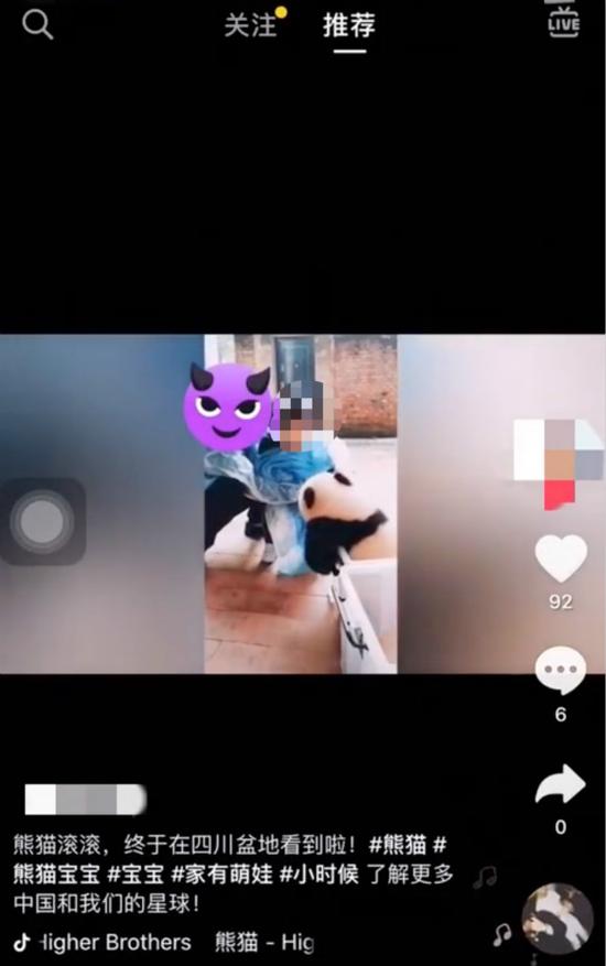 游客私自触摸大熊猫幼崽并拍视频。受访者供图,华龙网发