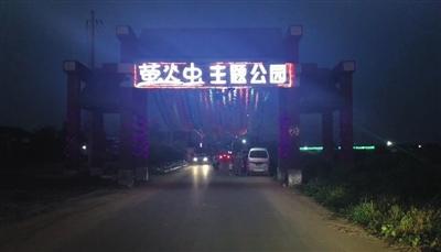 8月17日至19日,栾城举办首届萤火虫节。新京报记者 寇佳祥 摄