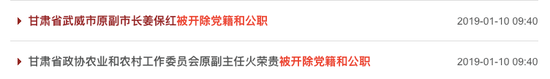 “美女副市长”与市委书记同日“双开”,受贿细节被公开