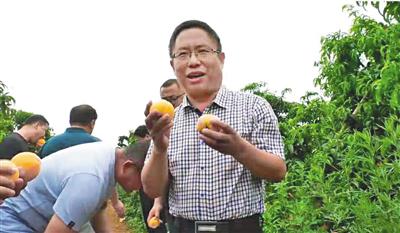 开赌博电子游戏厅|济南乳腺病医院:发现乳腺钙化灶,就是得了乳腺癌吗?