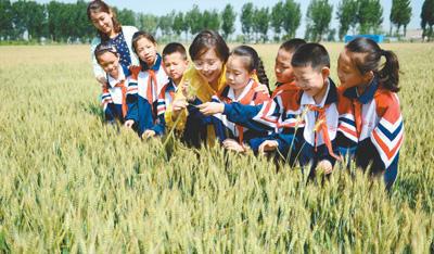 ӱʡ·Сѧũ¿ãѧ߽ũĲףϧʳĺϰߡ廪