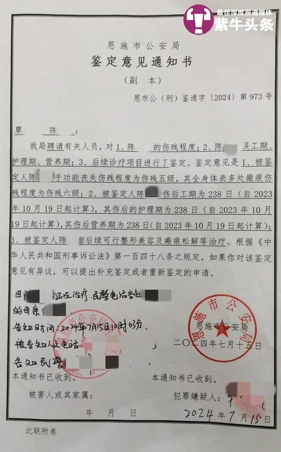 傷情鑒定書