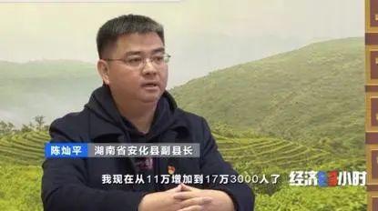 湖南省安化县副县长陈灿平