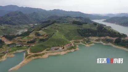 唐溪茶场