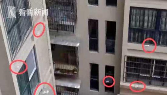 几十张百元大钞漫天飞舞 熊孩子狂撒8000元现金