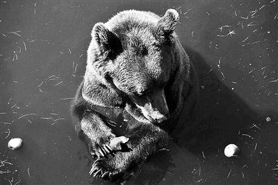 挪威、加拿大、尼泊尔等地在户外活动时需要用水降温