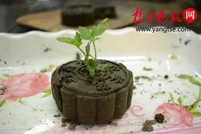 (图片来源:扬子晚报)