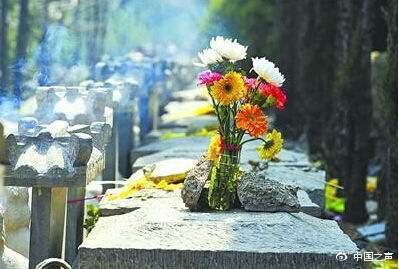 百姓对生态葬的接受程度有何转变？