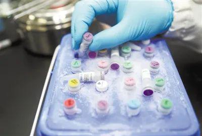 近日，在上海，工作人员演示新型冠状病毒mRNA疫苗实验过程。新华社记者 丁汀摄