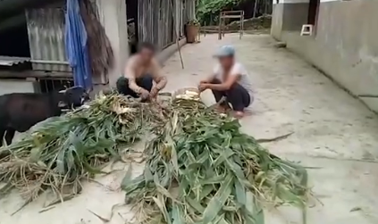 澳门博马23499·加拿大司法部长换人 或影响孟晚舟是否引渡美国