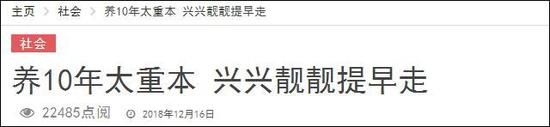 马来西亚《中国报》截图
