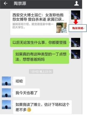 陶崇园和姐姐的聊天记录。图片来自网络