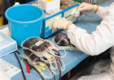 12月26日，丰台，医护人员将血袋按血型进行分类。新京报记者 陶冉 摄