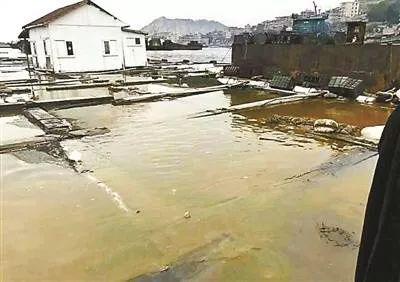 ▲被污染的养殖水体(新华网)