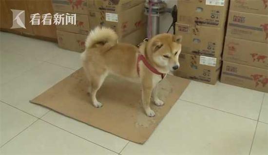 葡京有几种赌法_长三角Ⅱ型大城市落户限制全面放开