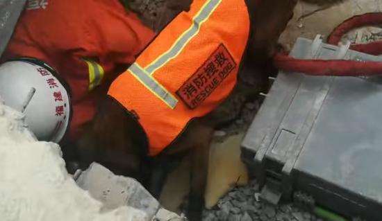 救火员携搜救犬排查被困人员环境。 受访者供图