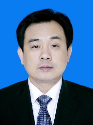 湖北省政府秘书长别必雄被查(图/简历)