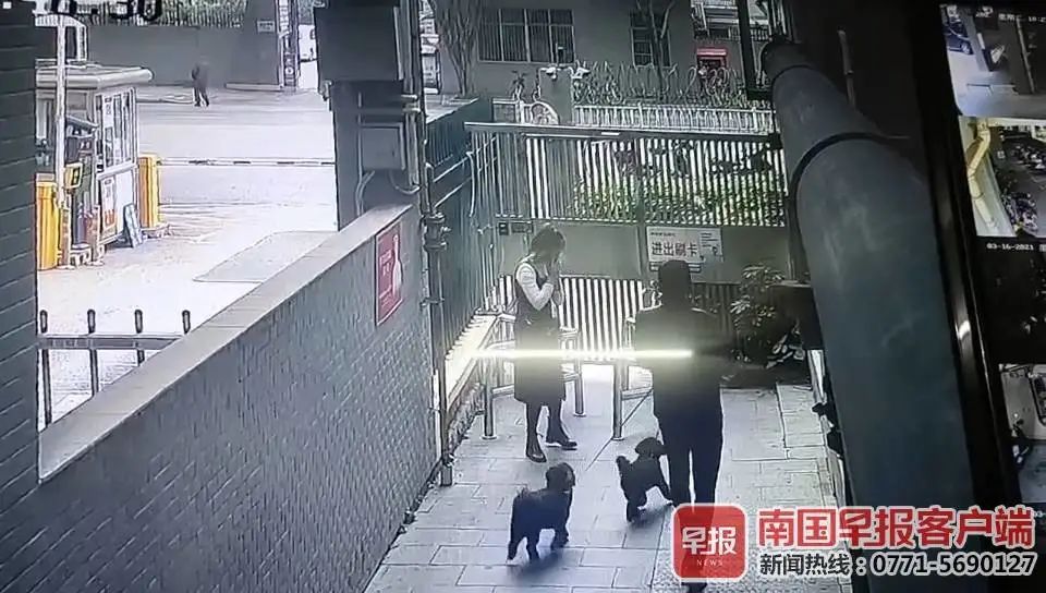 ▲3月8日中午12時46分,犬主牽着兩隻黑色的小狗離開事發小區。視頻截圖