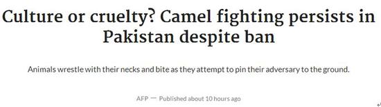巴基斯坦《黎明报》报道截图