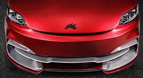 ��������ĳ������һֻ��⬡�/ �����������