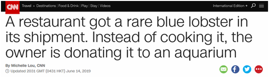 CNN报道截图