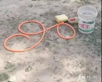 豪彩国际频道_“刷脸”领结婚证,成都启用人脸识别婚姻登记
