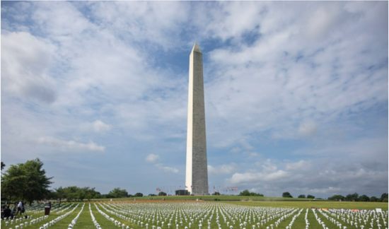 当地时间2022年6月7日，美国华盛顿，国家广场上摆放装有鲜花的花瓶纪念枪支暴力的死难者，多名政要出席活动。图/IC photo