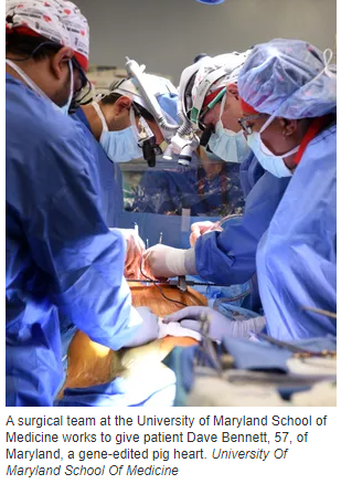 ��ý������ͼ